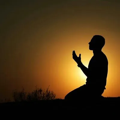 true purpose of life ❤ profile