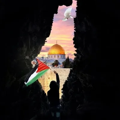 All about Islam profile