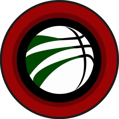 Lebanese Basketball profile