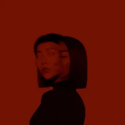 le connoisseur profile