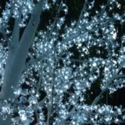 Creative Loop LED Tree Hire profile