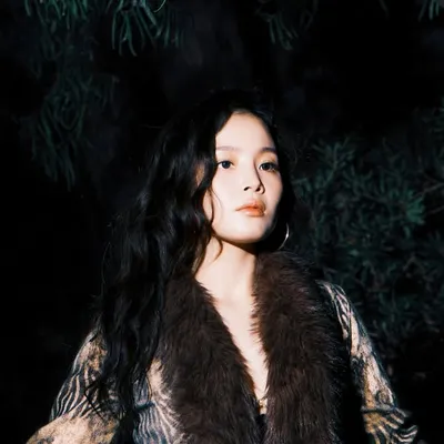 Lee HI profile