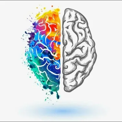 Left Brain Creations profile