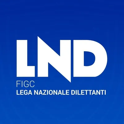 Lega Nazionale Dilettanti profile