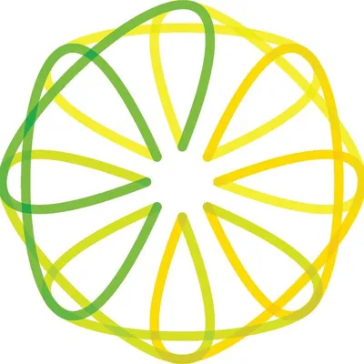 Lemon & Lime Digital profile