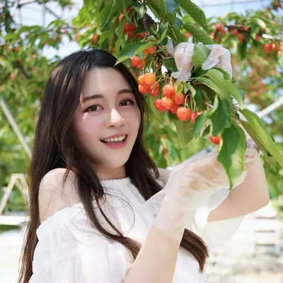𝐋𝐞𝐧𝐚 リナ | ᴊᴀᴩᴀɴ ᴛʀᴀᴠᴇʟ🗼日本旅遊景點 profile
