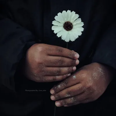 مصورة منتجات وآطعمه||شريفة🕊 profile