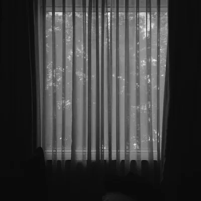 Lens__x profile