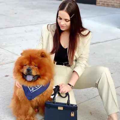 DOG | NYC ๐ profile