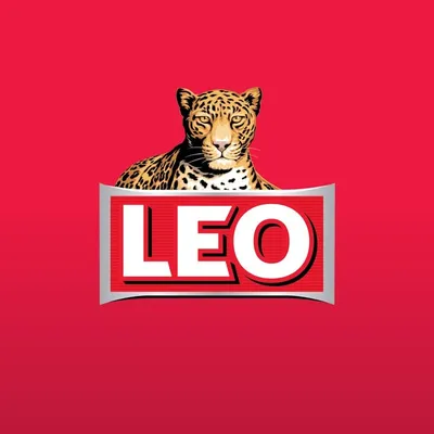 LEO profile
