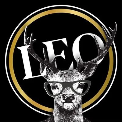LEO profile