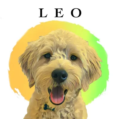 🔆 Leo 🔆 ᴛʜᴇ ᴍɪɴɪ ɢᴏʟᴅᴇɴᴅᴏᴏᴅʟᴇ profile