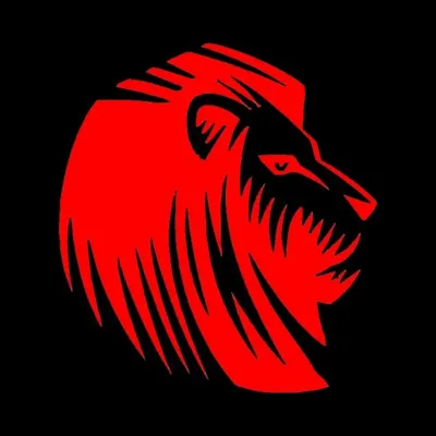 Leones De Barrio profile