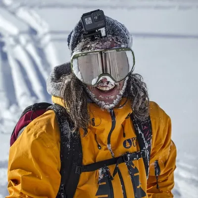 Leo Taillefer profile
