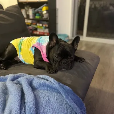Leroy profile