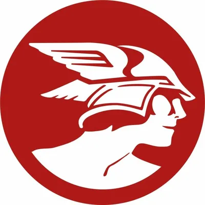 Les Echos profile