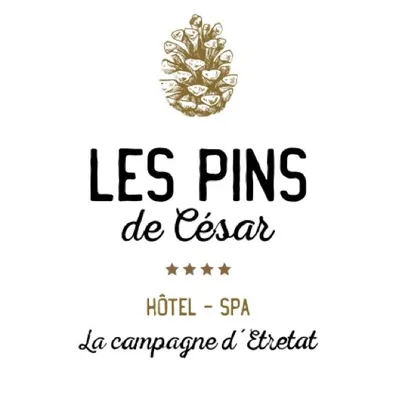 HÔTEL LES PINS DE CESAR**** profile