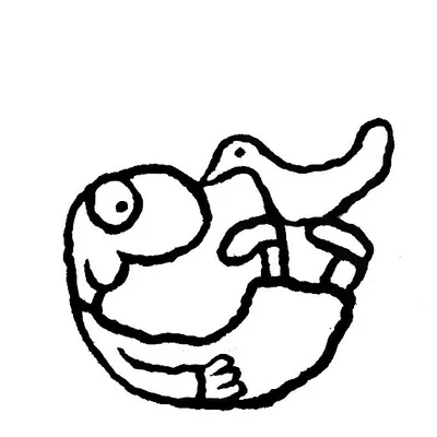 Michael Leunig profile