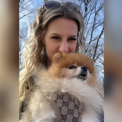 Lexi dog diary profile