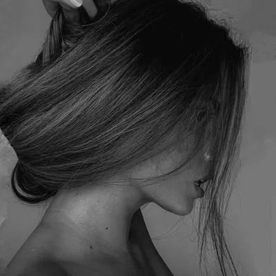 L E X I profile