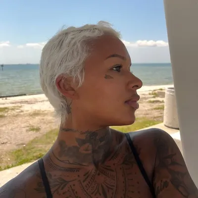 L E X profile