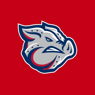 Lehigh Valley IronPigs profile