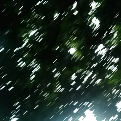 🔥nîmmî kãchhãp🔥 profile