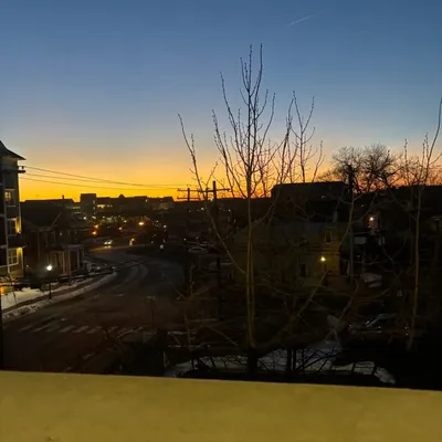 Liam Hoffman profile