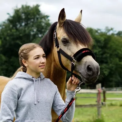 Lia & Alfi - OFFICIAL profile