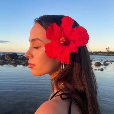 libby williams fierro profile