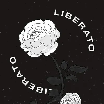 Liberato Music Instagram profile photo