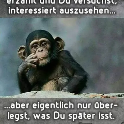 Du bist traurig? Folg ๐ profile