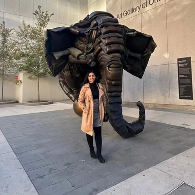 life at home profile