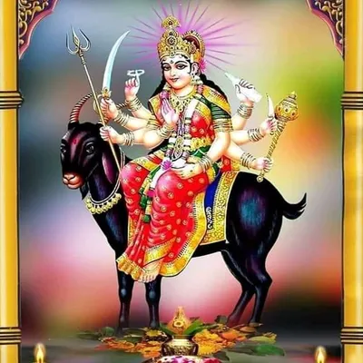 મેલડી ની દિવાની 😘 profile