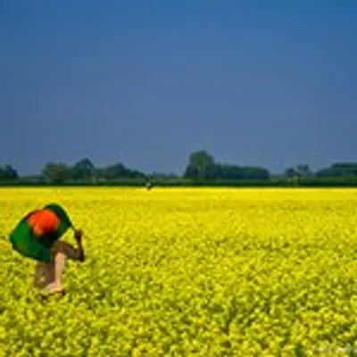 Beautiful Bangladesh profile