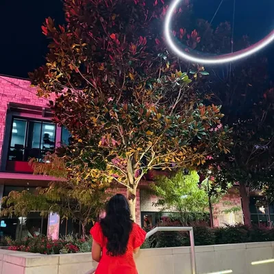 Vamika✨ profile