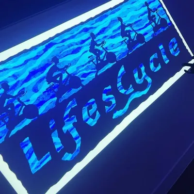 LifesCycle profile