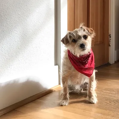 Leroy Milo Brown profile
