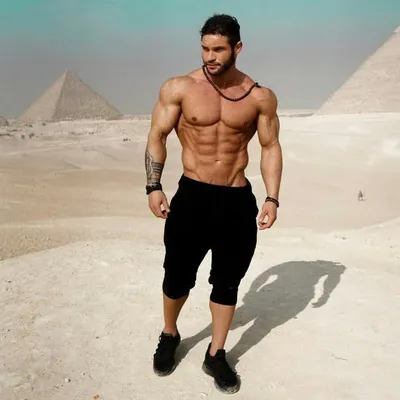 Insane Fit Photos profile