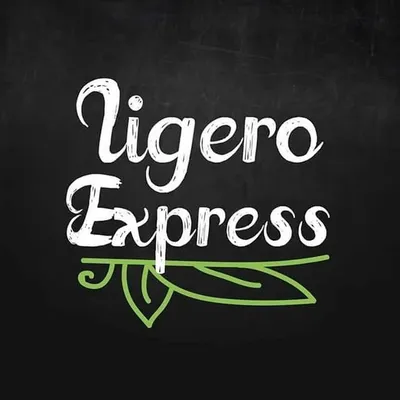 Ligero Express profile