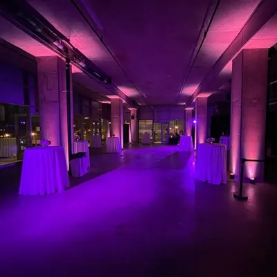 Lights By Blue- Rentals profile