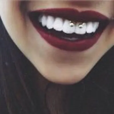 ⠀⠀⠀⠀⠀⠀⠀⠀• ĿıғєṡṭʏĿє & ṃọŗє • profile