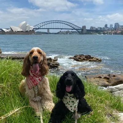 Lil & Dave profile