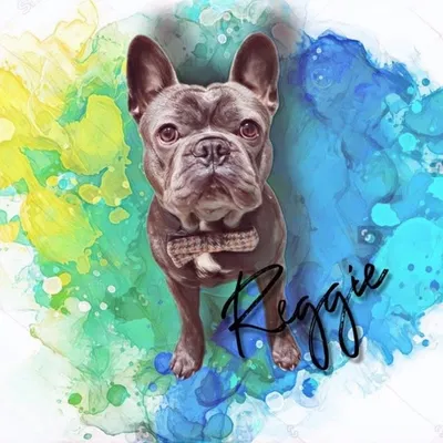 Reggie ๐พ profile