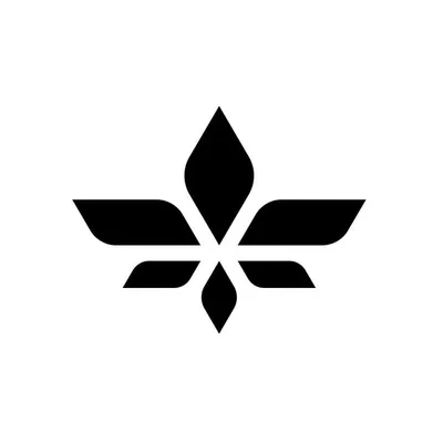 Lilium profile