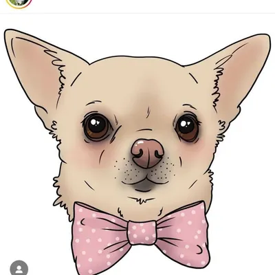 ✨Lillian The Chihuahua✨ profile