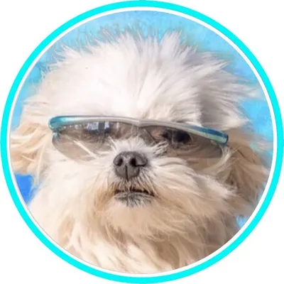 ๐ท๐๐๐๐๐๐๐ | Bark Ruffalo @bafta profile