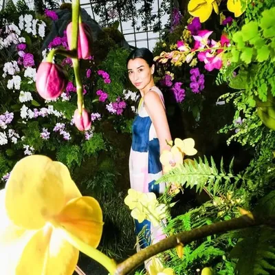 Lily Scout Kwong