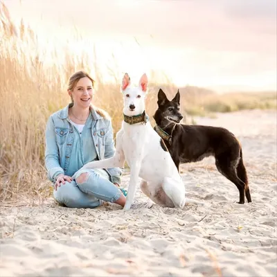 Linda | Deine Tierfotografin mit ๐ in Norddeutschland profile