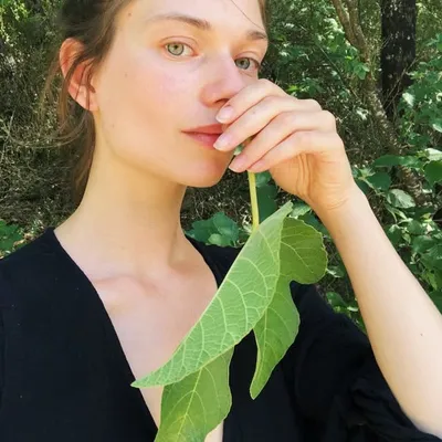 LinguaPlanta profile